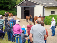 KS300622-93 - Kirtlington Stud Visit